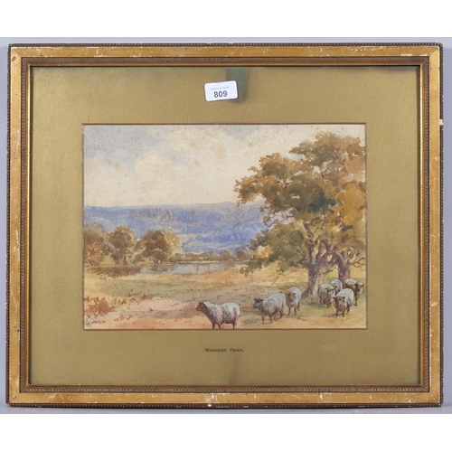 809 - George Hiscox (1830 - 1901), Windsor Park, watercolour, 25cm x 34cm, framed