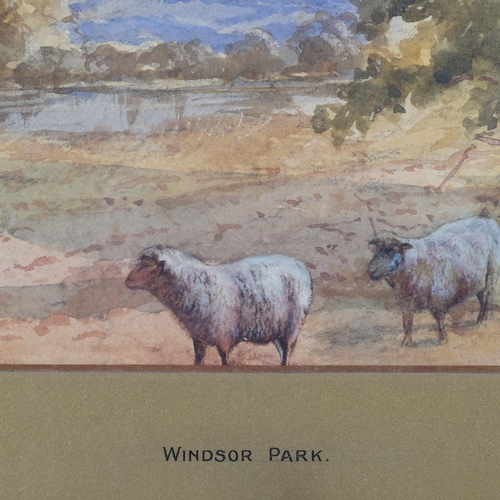 809 - George Hiscox (1830 - 1901), Windsor Park, watercolour, 25cm x 34cm, framed