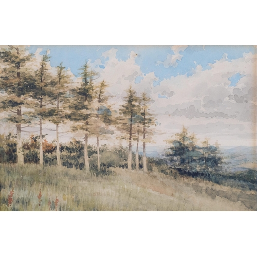 816 - Lloyd Young, Knockholt Beeches, 1912, watercolour, 19cm x 27cm, framed