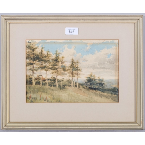 816 - Lloyd Young, Knockholt Beeches, 1912, watercolour, 19cm x 27cm, framed