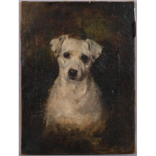 848 - Portrait of a Terrier, 19th century oil on canvas, inscribed A Buz, 40.5cm x 30cm, unframed