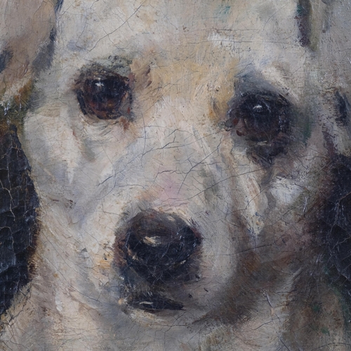 848 - Portrait of a Terrier, 19th century oil on canvas, inscribed A Buz, 40.5cm x 30cm, unframed