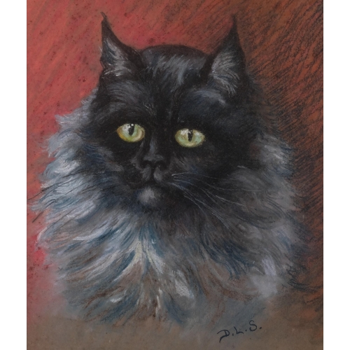 849 - Cat portrait, coloured pastels, circa 1900, signed with monogram DLS, 34cm x 26cm, framed