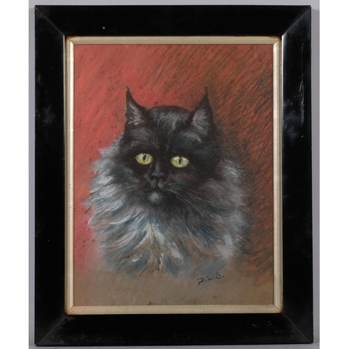 849 - Cat portrait, coloured pastels, circa 1900, signed with monogram DLS, 34cm x 26cm, framed