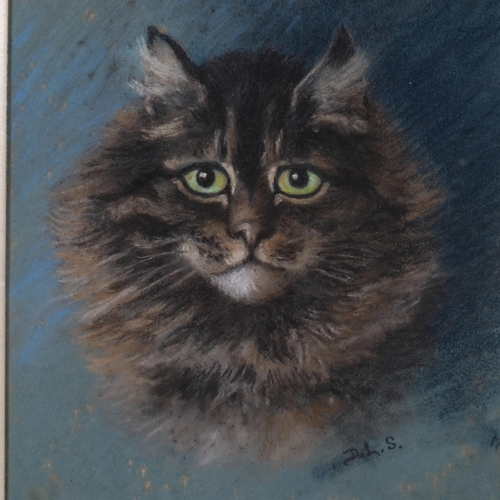 850 - Cat portrait, coloured pastels, circa 1900, signed with monogram DLS, 34cm x 26cm, framed