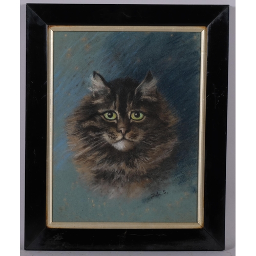 850 - Cat portrait, coloured pastels, circa 1900, signed with monogram DLS, 34cm x 26cm, framed