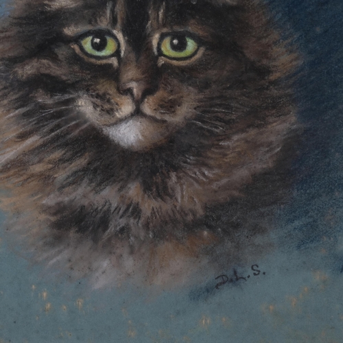 850 - Cat portrait, coloured pastels, circa 1900, signed with monogram DLS, 34cm x 26cm, framed