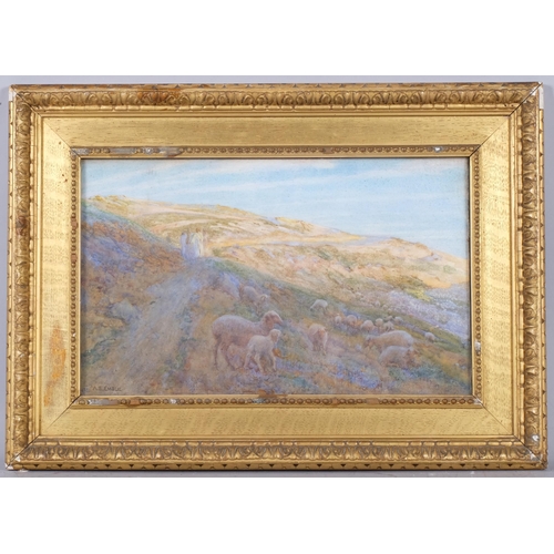 874 - Alfred Edward Emslie (1848 - 1918), Jerusalem, watercolour, 25cm x 39cm, framed