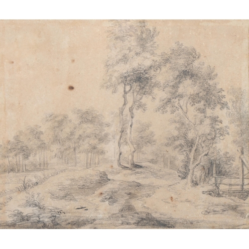 909 - Jan Wijnants (1632 - 1684), tree study, black chalk and wash, 16.5cm x 19.5cm, framed, provenance: C... 