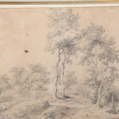 909 - Jan Wijnants (1632 - 1684), tree study, black chalk and wash, 16.5cm x 19.5cm, framed, provenance: C... 