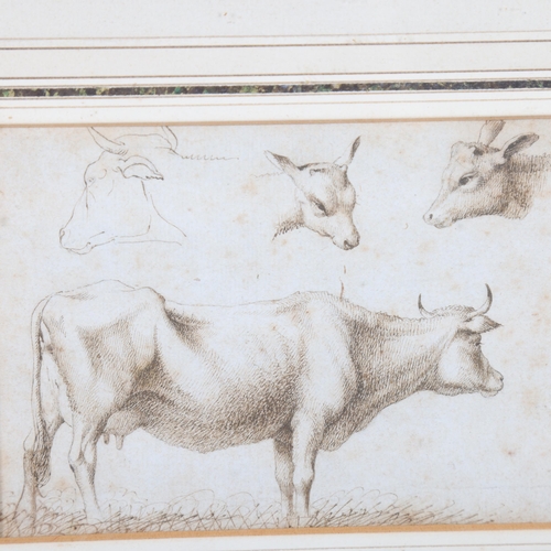 913 - Albert Flamen (1620 - 1674), sketches of a cow, pen and ink on paper, 10.5cm x 15cm, framed, provena... 