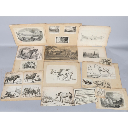 927 - Folder of Old Master prints and engravings