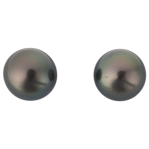 1242 - A pair of 9ct gold whole black pearl stud earrings, each set with 8mm pearl, 1.9g