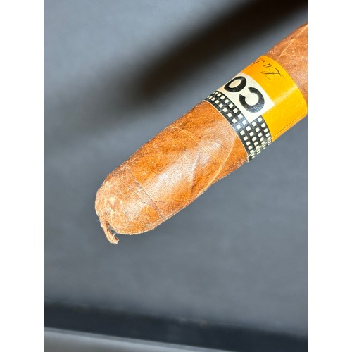 155 - Zino coromandel humidor, 30.5cm x 23cm, height 12cm, containing 10 Cohiba cuban cigars and 3 cigar c... 