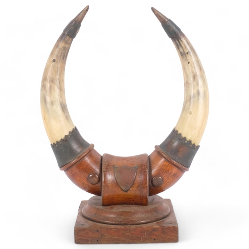 152 - TAXIDERMY - an early 20th century cow horn dinner gong on oak stand (missing gong), H36cm