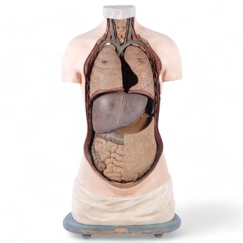 55 - A 1920s educational anatomical model torso by Somso that was once used in a medical school to teach ... 