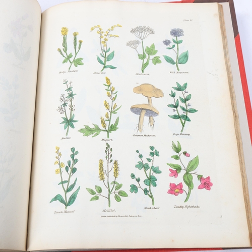 142 - Culpepper's Complete Herbal, Published 1819 by Thomas Kelly, London, later rebound leather spine wit... 