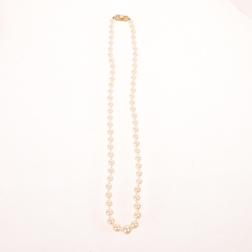 1277 - MIKIMOTO - a Vintage 14ct gold single-strand graduated cultured pearl bead necklace, pearls ranging ... 