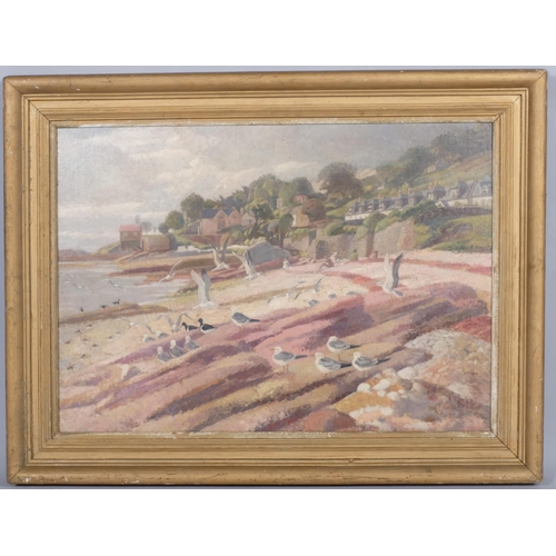 409 - James T A Osborne (British 1907-1979) Seagulls on shore, oil on canvas, mid-20th century, unsigned, ... 