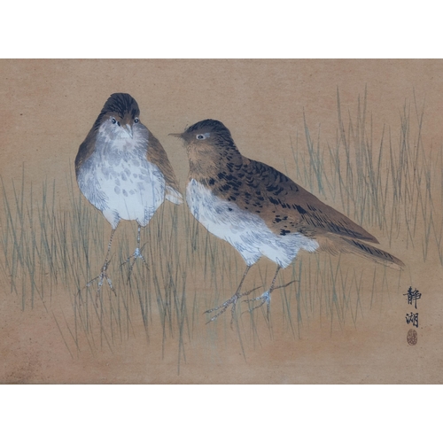 450 - An Oriental watercolour on paper, 2 wading birds, with character marks bottom right, 24cm x 21cm, fr... 