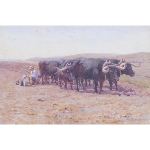 494 - Gerald Ackermann (1876 - 1960), ploughman at rest, watercolour, signed and dated 1902, 52cm x 34cm, ... 