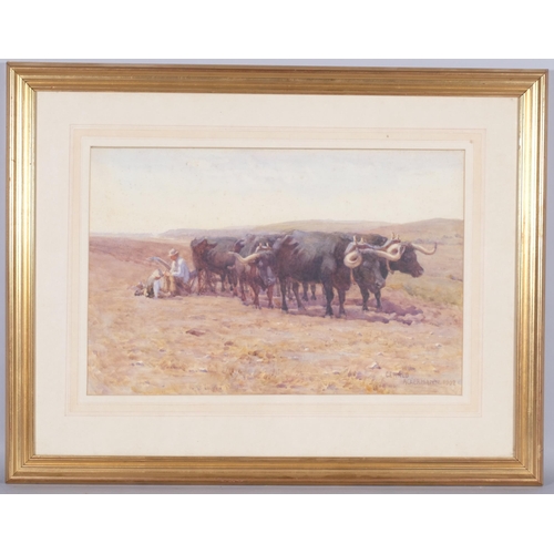 494 - Gerald Ackermann (1876 - 1960), ploughman at rest, watercolour, signed and dated 1902, 52cm x 34cm, ... 