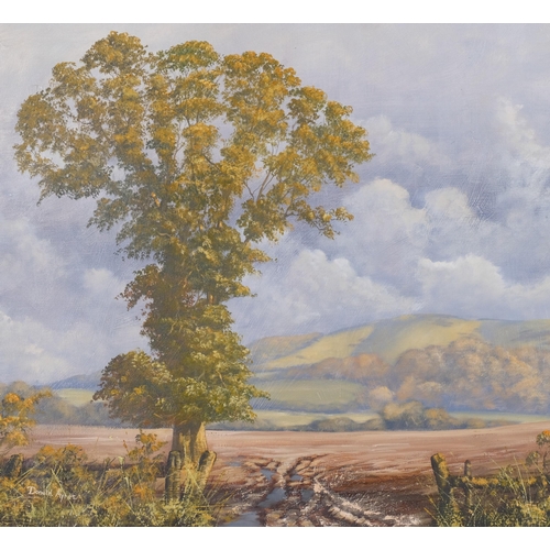 495 - Donald Ayres (born 1936), extensive downlands scene, oil on canvas, signed, 75cm x 50cm, framed