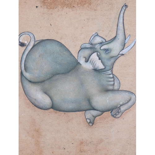 522 - Indian School, watercolour on paper, probably 19th century, elephant, 13.5cm x 11cm, framed