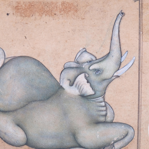 522 - Indian School, watercolour on paper, probably 19th century, elephant, 13.5cm x 11cm, framed