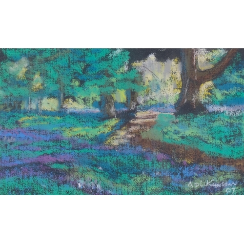 529 - Alan Dickinson, woodland scene, in pastel on paper, signed and dated '07, 24cm x 15cm, framed