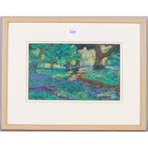 529 - Alan Dickinson, woodland scene, in pastel on paper, signed and dated '07, 24cm x 15cm, framed