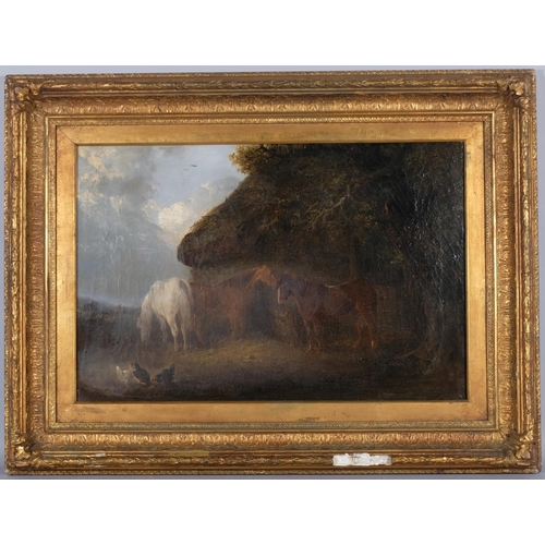 547 - 19th century horses in landscape, oil on canvas, unsigned, 60cm x 39cm, framed