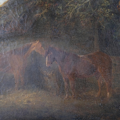 547 - 19th century horses in landscape, oil on canvas, unsigned, 60cm x 39cm, framed