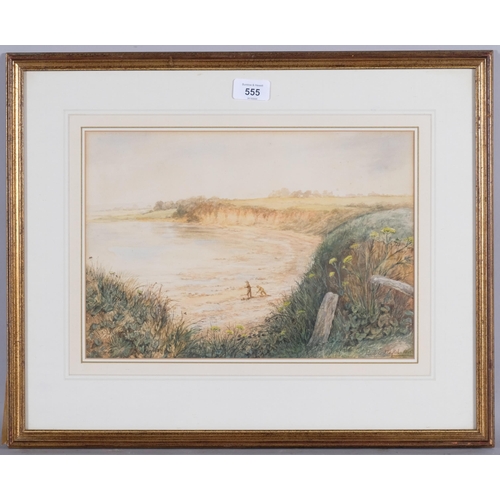 555 - Paul Jacob Naftel (1817 - 1891), view of beach from cliffs, watercolour, signed and dated 1865, 34cm... 