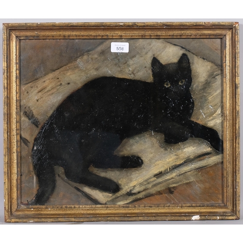 556 - Mid-century portrait of black cat, oil on board, unsigned, 43cm x 36cm, framed