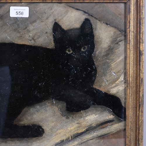 556 - Mid-century portrait of black cat, oil on board, unsigned, 43cm x 36cm, framed