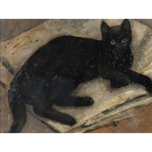 556 - Mid-century portrait of black cat, oil on board, unsigned, 43cm x 36cm, framed