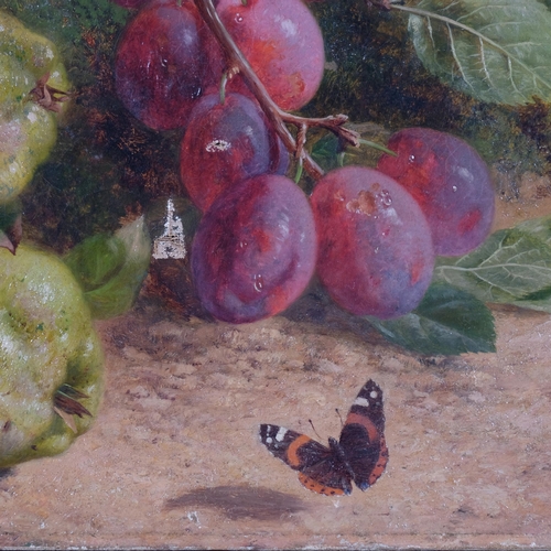 568 - William Hughes, still life fruit and butterfly, oil on canvas, signed and dated 1878, 58cm x 48cm, u... 