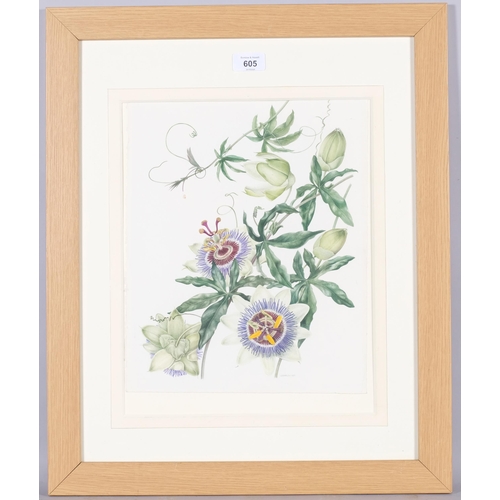 605 - 12. Gillian Barlow (b.1944) watercolour on paper, Passiflora Coerulea – Passion Flower (1991), signe... 