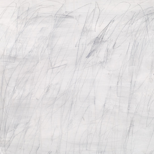 614 - José Luis Camacho (b.1968), graphite on board, Untitled, signed and dated verso, 56cm x 95.5cm, fram... 