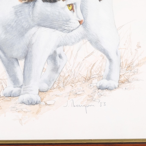 647 - John Thompson, Japanese bobtail cat, watercolour, 1983, 29cm x 23cm, framed