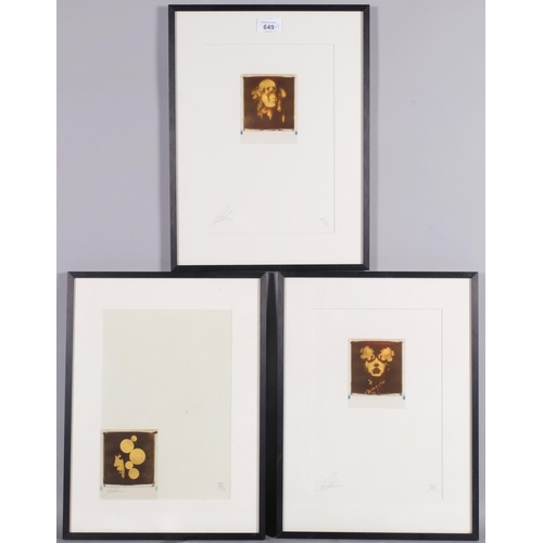 649 - Andrew Millar, 2 gold leaf photographic images, signed in pencil, from an edition of 50 copies, fram... 