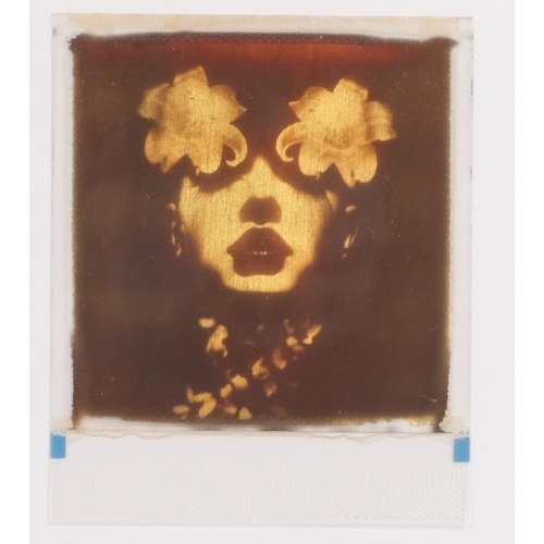 649 - Andrew Millar, 2 gold leaf photographic images, signed in pencil, from an edition of 50 copies, fram... 