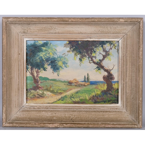 673 - Impressionist landscape, mid-20th century oil on board, indistinctly signed, 19cm x 27cm, framed