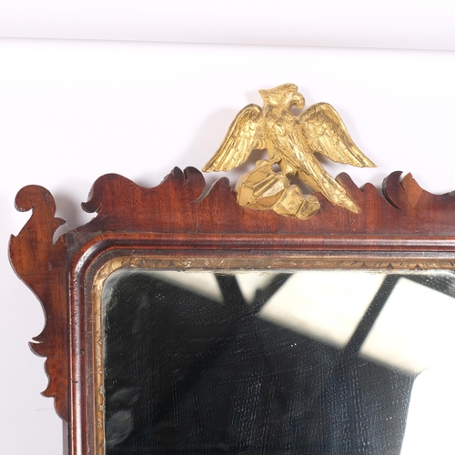 339 - An ornate Antique Georgian mahogany mirror, with gilt phoenix surmount, 76cm x 43cm