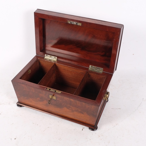 375 - 19th century sarcophagus tea caddy, with brass lion mask ring handles, 31cm across