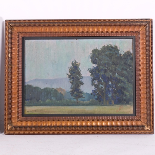 670 - A pair of Antique oil paintings, wooded landscapes, signed H. E. McL, in ornate embossed frames, 35c... 