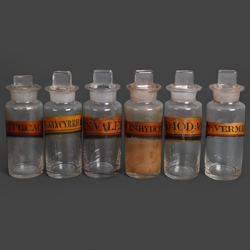 3004 - A group of six clear glass apothecary bottles, each with stopper, all have gold gilt period labellin... 