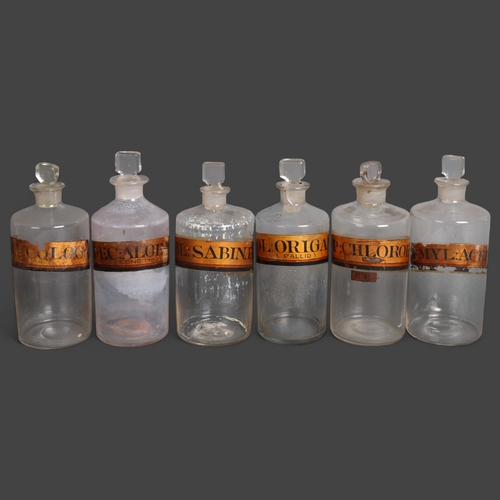 3006 - A group of six clear glass apothecary bottles, each with stopper, all have gold gilt period labellin... 