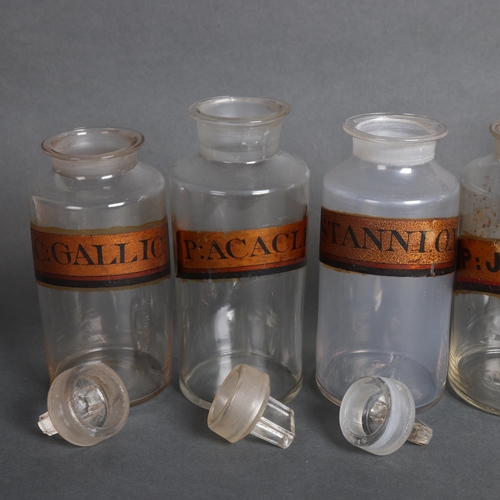 3010 - A group of six clear glass apothecary bottles, each with stopper, all have gold gilt period labellin... 